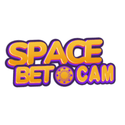 how to play sudoku beginners
